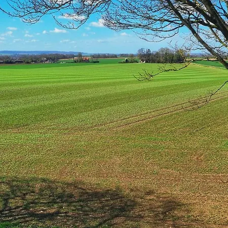 Le Clos Champlieu Orrouy Esterno foto