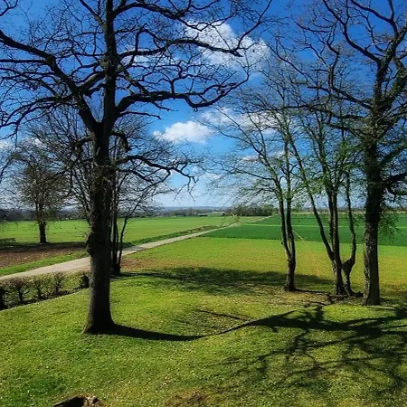 Le Clos Champlieu Orrouy Esterno foto