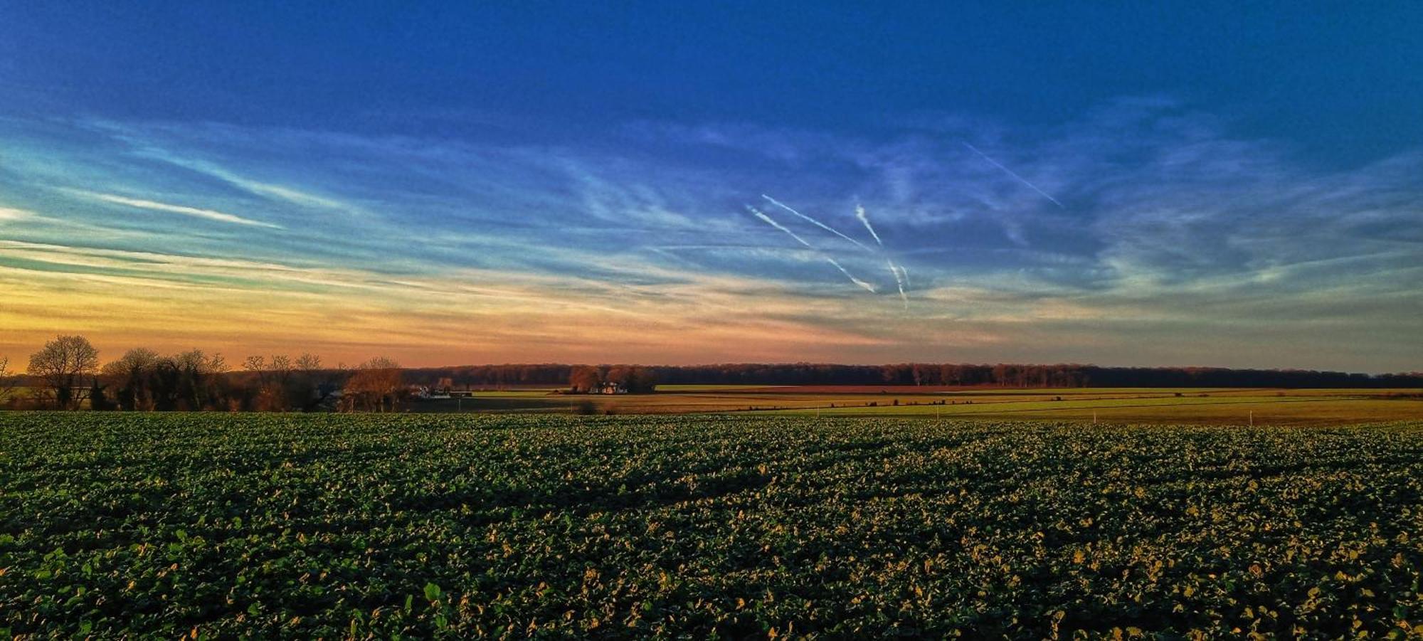Le Clos Champlieu Orrouy